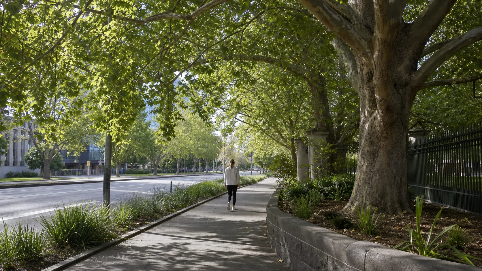 South Yarra boulevard context for planning an Oakleigh consultation